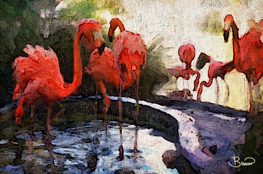 2014-10-05 16.17.47-a1.tif - Flamingos
